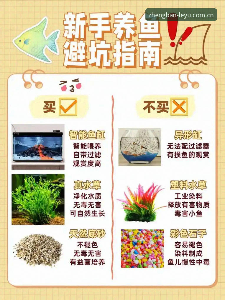 乐鱼使用教程 揭秘乐鱼体育平台使用教程:新手必知的五件事,避开新手区90%的坑